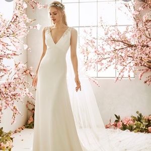 Pronovias Daffodils wedding dress gown